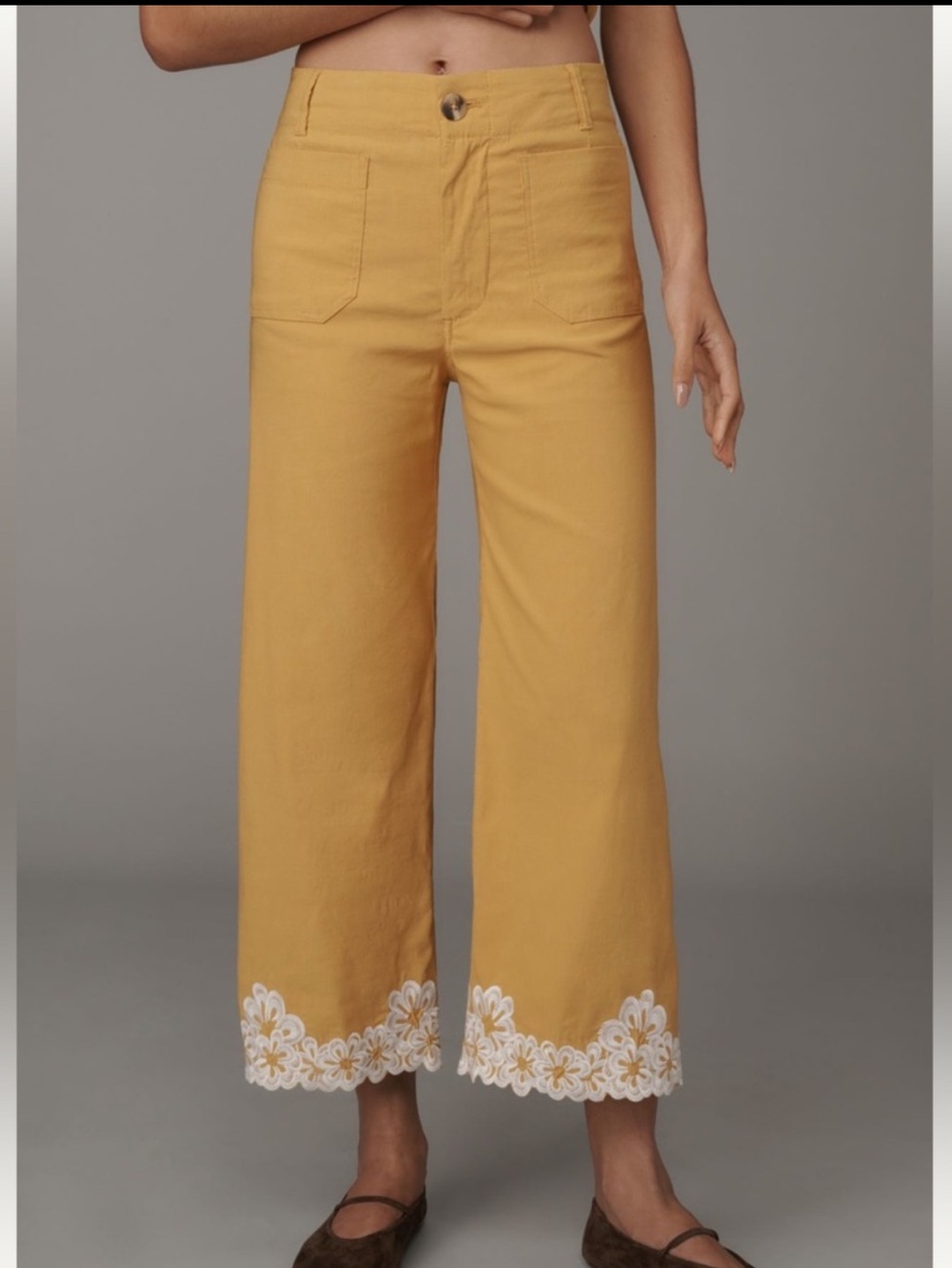 Anthropologie Colette Pants Maeve Cropped Wide Leg Magic Fabric Embroidered New